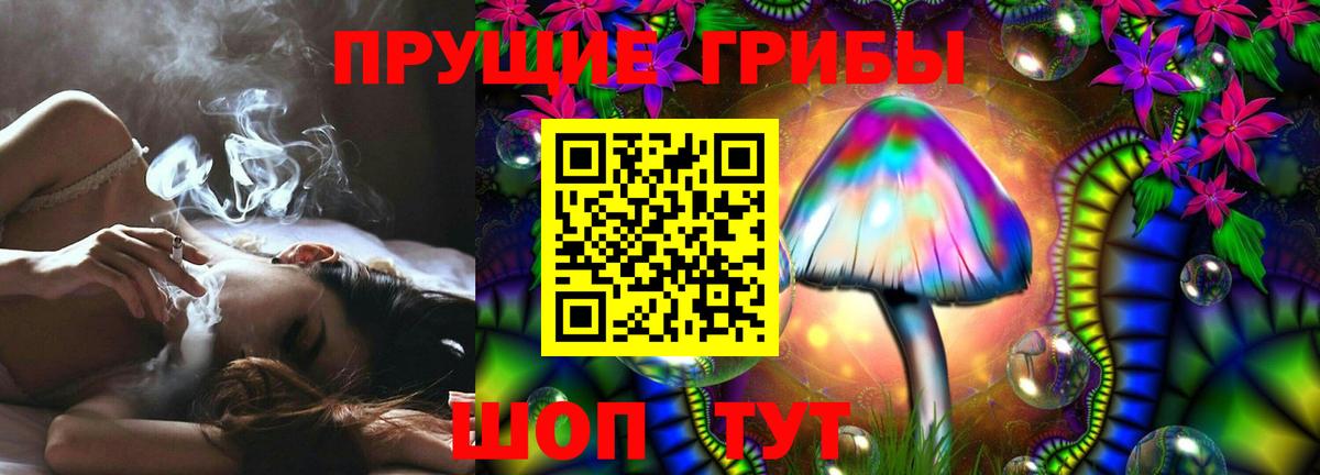 Псилоцибиновые грибы Psilocybine cubensis Похвистнево